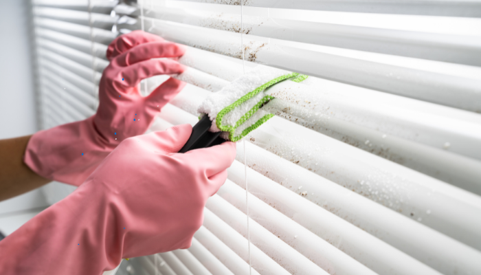 professional blind cleaning Hurst